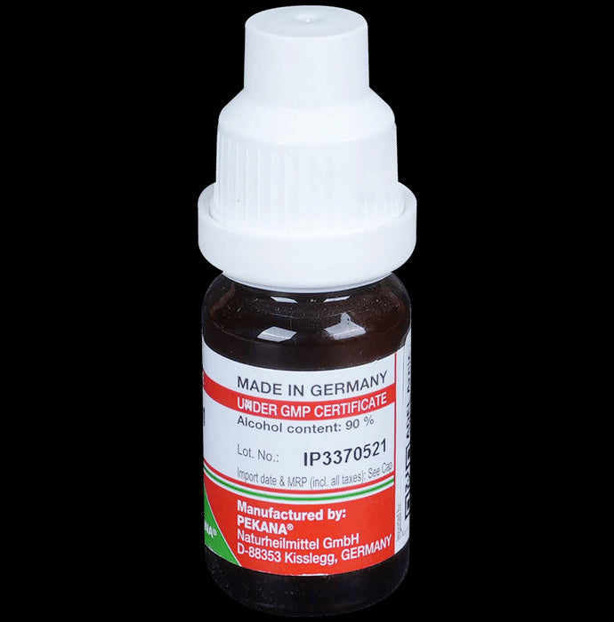 ADEL Arnica Dilution 1M