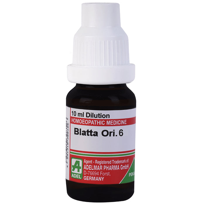 ADEL Blatta Ori. Dilution 6 - Classic Derma