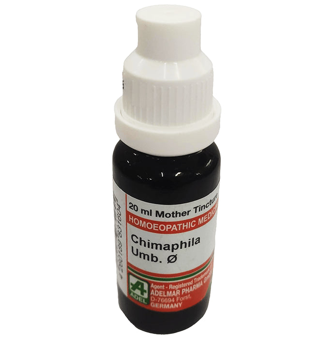 ADEL Chimaphila Mother Tincture Q - Classic Derma