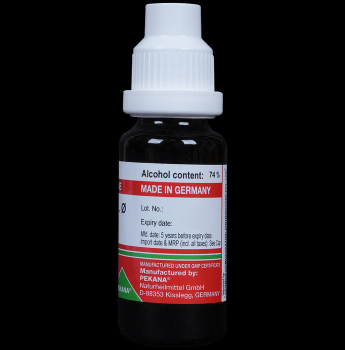 ADEL Gaultheria Proc Mother Tincture Q