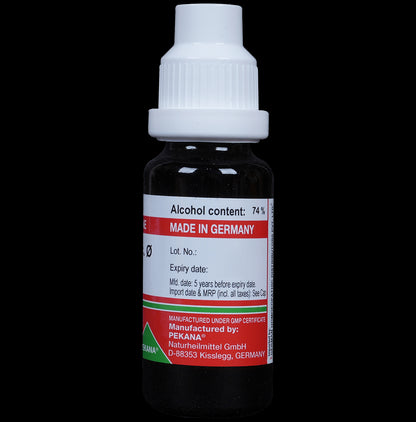ADEL Gaultheria Proc Mother Tincture Q