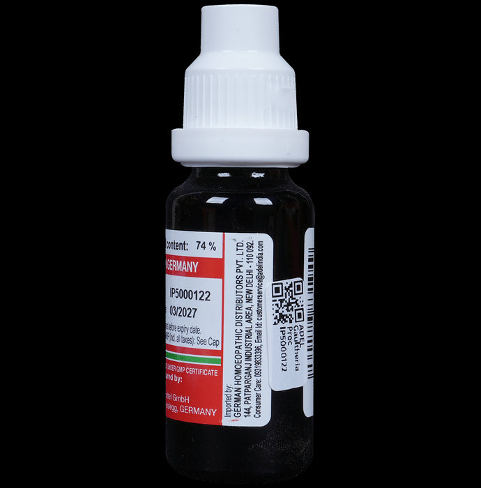 ADEL Gaultheria Proc Mother Tincture Q