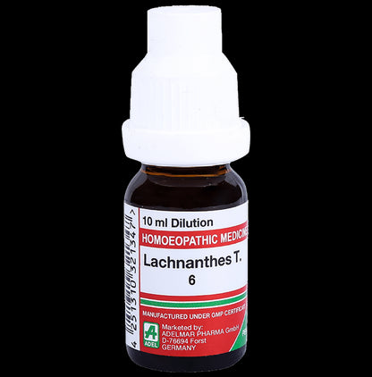 ADEL Lachnanthes T. Dilution 6 - Classic Derma