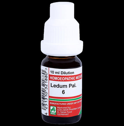 ADEL Ledum Pal. Dilution 6 - Classic Derma