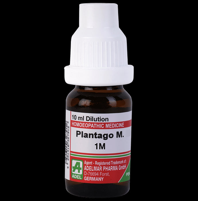 ADEL Plantago M. Dilution 1M - Classic Derma