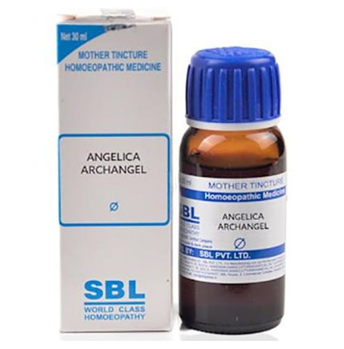 SBL Angelica Archangelica Mother Tincture Q - Classic Derma