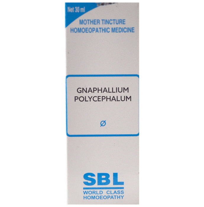SBL Gnaphalium Polycephalum Mother Tincture Q - Classic Derma