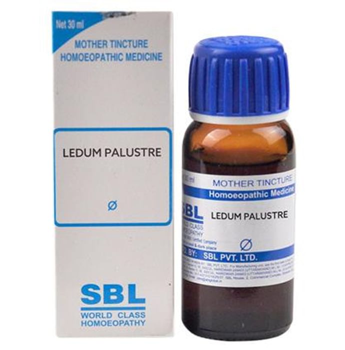 SBL Ledum Palustre Mother Tincture Q - Classic Derma